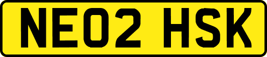 NE02HSK