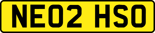 NE02HSO