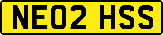 NE02HSS