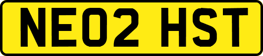 NE02HST