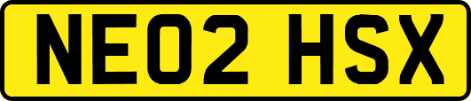 NE02HSX