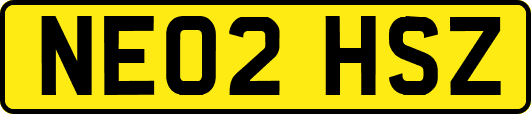 NE02HSZ