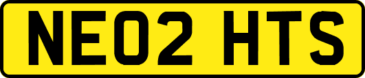 NE02HTS