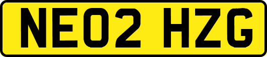 NE02HZG