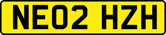 NE02HZH