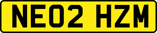 NE02HZM