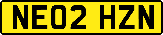 NE02HZN