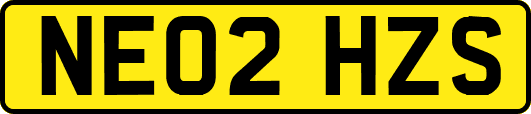 NE02HZS
