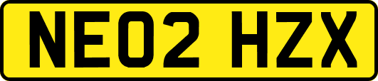 NE02HZX