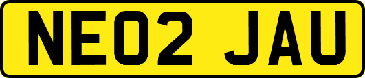 NE02JAU