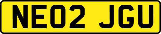 NE02JGU