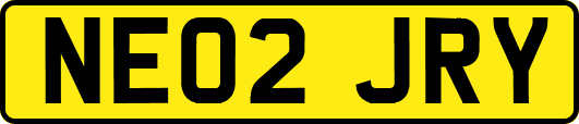 NE02JRY