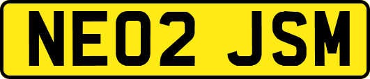 NE02JSM