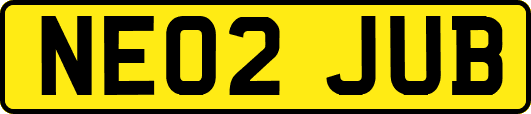 NE02JUB