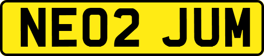 NE02JUM