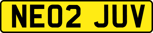 NE02JUV