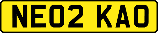 NE02KAO
