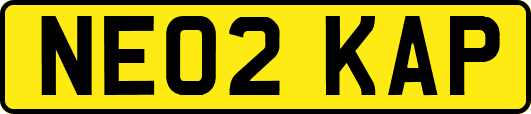 NE02KAP