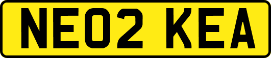 NE02KEA