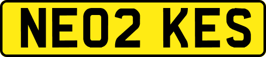 NE02KES