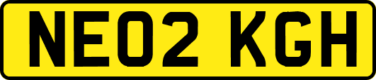 NE02KGH