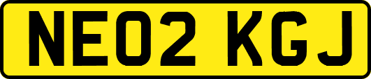 NE02KGJ