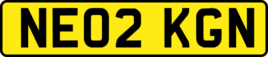 NE02KGN