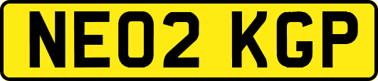 NE02KGP