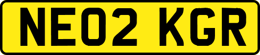 NE02KGR