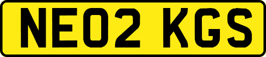 NE02KGS