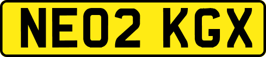NE02KGX