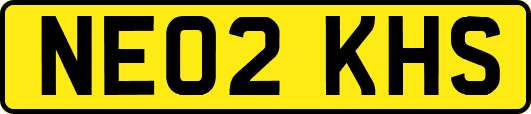NE02KHS