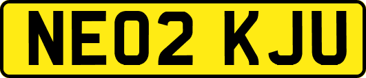 NE02KJU