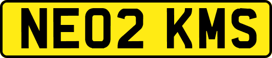 NE02KMS