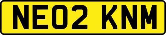NE02KNM