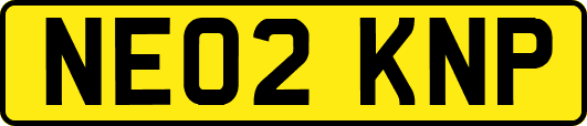 NE02KNP