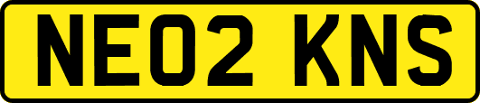 NE02KNS