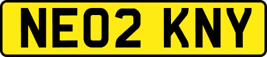 NE02KNY