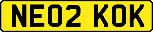 NE02KOK