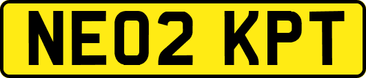 NE02KPT