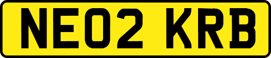 NE02KRB