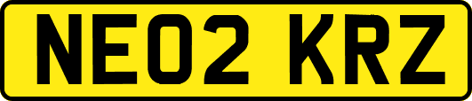 NE02KRZ