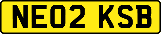 NE02KSB