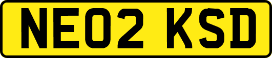 NE02KSD