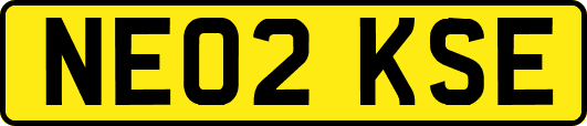 NE02KSE