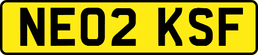 NE02KSF