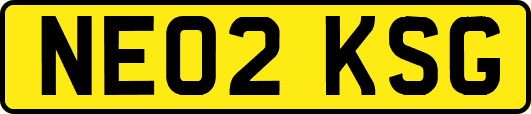 NE02KSG