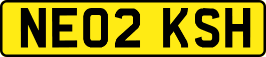 NE02KSH