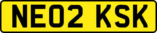NE02KSK