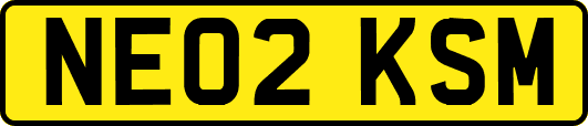 NE02KSM